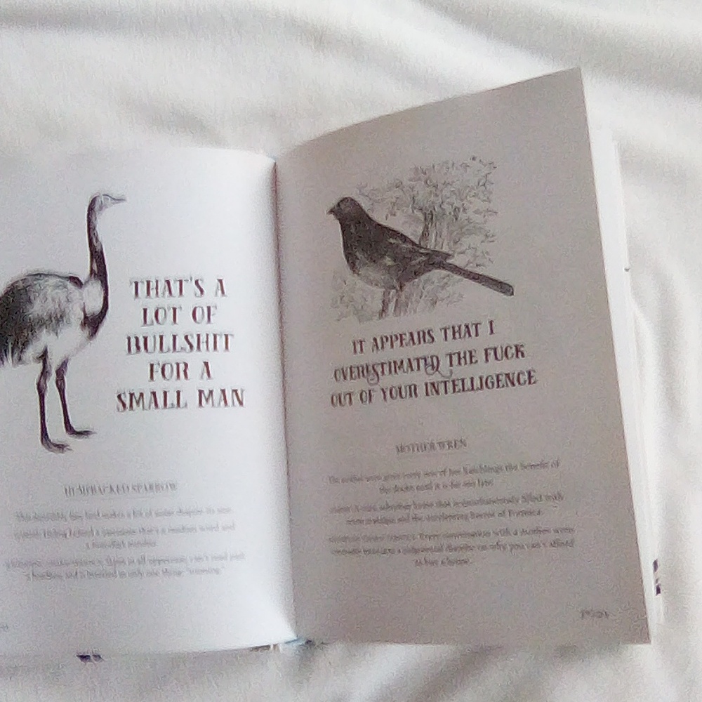 Effin' Birds: A Field Guide to Identification - Aaron Reynolds - Picture 8 of 9